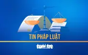 Thanh Tra Chỉ Ra Nhiều Vi Phạm Trong Quản Trị Và Tài Chính Tại Tập Đoàn Cao Su