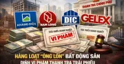 Thanh Tra Chính Phủ Phát Hiện Nhiều Vi Phạm Trong Phát Hành Trái Phiếu Doanh Nghiệp