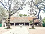 Thái Miếu Nhà Hậu Lê: Di Tích Hơn 220 Năm Với Kiến Trúc Độc Đáo Tại Thanh Hóa