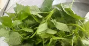 Top gia vị hỗ trợ tiêu hóa khỏe mạnh sau Tết, giúp cơ thể phục hồi nhanh