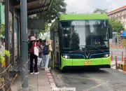 TPHCM chính thức vận hành 25 tuyến buýt điện mới từ 1/3, VinBus khai thác 9 tuyến