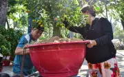 TP.HCM: Các chợ hoa Tết bắt đầu nhộn nhịp, người dân mua sớm với giá phải chăng