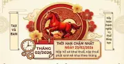 TP.HCM thông báo hạn nộp thuế tháng 2/2026 và kết quả thu ngân sách ấn tượng