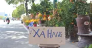TP.HCM: Tiểu thương xả hàng hoa Tết, người dân tranh thủ mua sắm giá rẻ