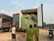 TP.HCM tạm giữ hơn 288 tấn thực phẩm đông lạnh không rõ nguồn gốc, trị giá hơn 23 tỷ đồng