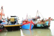 TPHCM xử lý 230/830 tàu cá mất kết nối giám sát, phấn đấu gỡ thẻ vàng IUU