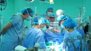 Trái tim xuyên Việt cứu sống bé gái 11 tuổi: Hành trình diệu kỳ của sự sống