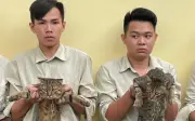 Triệt phá đường dây trộm mèo quy mô lớn tại TP.HCM, 9 đối tượng bị khởi tố