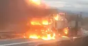 Xe tải bốc cháy dữ dội trên cao tốc Vĩnh Hảo - Phan Thiết, thiêu rụi hoàn toàn
