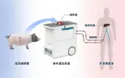 Trung Quốc đảo ngược suy gan cấp bằng gan lợn chỉnh sửa gien ngoài cơ thể