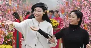 Tết Nguyên Đán 2026: Ý Nghĩa Năm Bính Ngọ Và Giá Trị Văn Hóa Truyền Thống