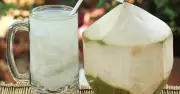 Uống nước dừa mỗi ngày trong một tháng: Cơ thể thay đổi ra sao và những lưu ý quan trọng