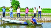Vĩnh Thuận: Hình mẫu nông thôn số, nông nghiệp xanh bứt phá ở An Giang