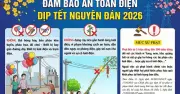 Cảnh báo nguy cơ điện giật từ cây nêu, đèn trang trí dịp Tết