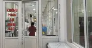 WHO cảnh báo nguy cơ cúm gia cầm tăng cao dịp Tết Nguyên đán