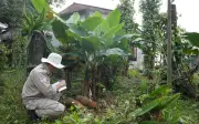 Xử lý hàng loạt vật liệu nổ sót lại sau chiến tranh tại Quảng Trị