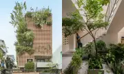 Xu hướng 'hệ sinh thái xanh' trong nhà phố: Giải pháp cải thiện vi khí hậu và chất lượng sống