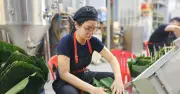 Người trẻ TP.HCM gói bánh chưng thuê, kiếm tiền triệu và trải nghiệm Tết truyền thống