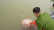Công An Thanh Niên Tình Nguyện Giúp Dân Thả Cá Ngày Ông Công Ông Táo