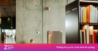 Đan Mạch: Thiên đường thư viện đối mặt khủng hoảng đọc đáng báo động