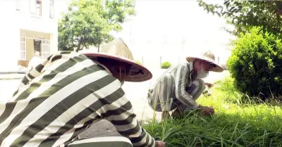 Bộ Quốc phòng đề xuất phạm nhân được gọi video miễn phí với người thân