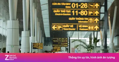 Bộ Tài Chính Đề Xuất Miễn Phí Hàng Không, Hàng Hải Đến Hết Năm 2026