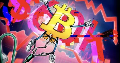 Bitcoin ổn định quanh 66.413 USD, thợ đào chuyển hướng AI và bán tháo BTC