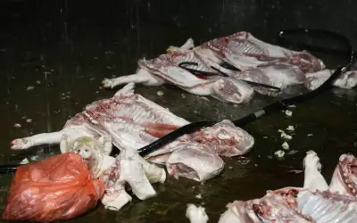 Chấn chỉnh toàn quốc hoạt động giết mổ, ngăn chặn lợn bệnh ra thị trường