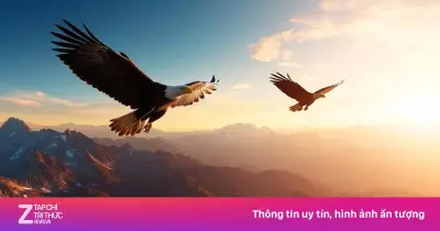 Cuốn sách 'Từ bỏ để tự do': Bài học từ thiên nhiên về nghệ thuật buông bỏ