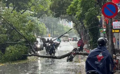 Cây xanh đổ trúng người đi xe máy tại Hà Nội, một người bị thương nhập viện