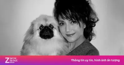 Diễn viên Thi Minh qua đời ở tuổi 74 sau biến chứng viêm phổi