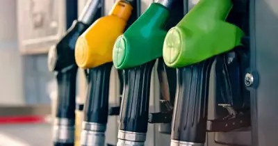 Giá Dầu Thế Giới Tiếp Tục Tăng Cao, Trong Nước Điều Chỉnh Giảm