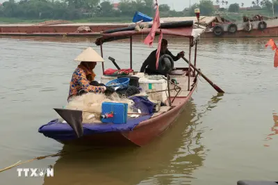 Hưng Yên Nhộn Nhịp Vào Mùa Đánh Bắt Cá Mòi Trên Sông Hồng