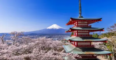 Khách Việt đến Nhật Bản giảm mạnh 17,4% trong tháng 2 năm 2026