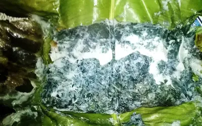 Lá Mơ Lông: Vị Thuốc Quý Trong Đông Y Và Các Bài Thuốc Hữu Ích