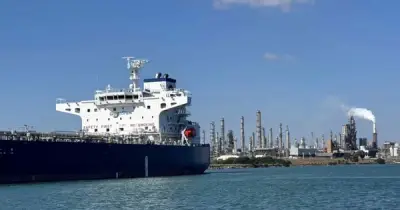 Mỹ Đón Tin Không Thể Vui Hơn Từ Trung Quốc: Cơ Hội Cho Doanh Nghiệp Việt