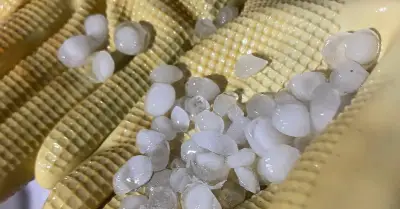 Mưa đá lốp bốp trút xuống nhiều phường ở Quảng Ninh, người dân bất ngờ