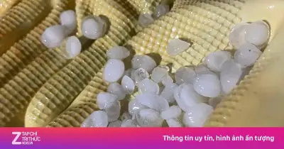 Mưa đá và giông lốc ở Quảng Ninh gây tử vong hai người, chính quyền hỗ trợ gia đình