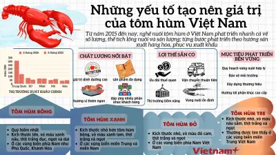 Những yếu tố tạo nên giá trị đặc biệt cho tôm hùm Việt Nam