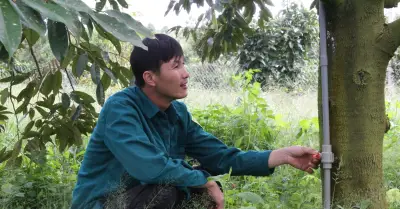 Nông dân Tây Nguyên thích ứng biến đổi khí hậu, giữ sinh kế bền vững