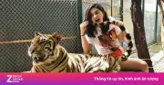 72 Con Hổ Chết Hàng Loạt: Mặt Trái Đen Tối Của Du Lịch Thái Lan