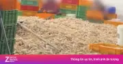 Bê bối chân gà bốc mùi ở Trung Quốc: Quy trình chế biến gây sốc và loạt vụ vi phạm an toàn thực phẩm