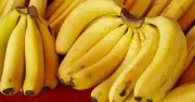 Bí mật đằng sau hình dáng quả chuối: Nên chọn chuối cong hay thẳng?