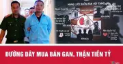 Bộ Y tế siết chặt quản lý hiến, ghép tạng sau phát hiện đường dây mua bán nội tạng trái phép