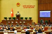 Ba Nghị Định Hướng Dẫn Luật Kinh Doanh Bảo Hiểm Tiếp Tục Có Hiệu Lực