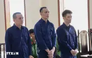 Bốn Cựu Cán Bộ Công Ty Xây Dựng Hạ Tầng Khu Công Nghiệp Cần Thơ Lĩnh Án