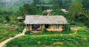 Bản Làng Xanh Mát Cách Hà Nội 250km, Khách Vượt Xa Đến Hái Rau Tự Nấu Cơm