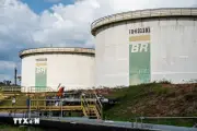 Brazil Tăng Công Suất Lọc Dầu Đối Phó Khủng Hoảng Năng Lượng Toàn Cầu
