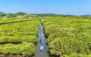 Bàu Cá Cái - 'Miền Tây thu nhỏ' giữa lòng Khu kinh tế Dung Quất