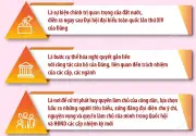 Bầu cử Quốc hội khóa XVI và HĐND các cấp diễn ra ngày 15/3 trên toàn quốc